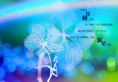 她的爱人，永远都不会再回来了小说阅读(上官烟贺宴忱)全本阅读
