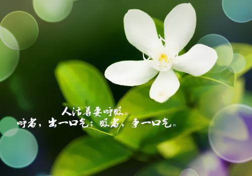 (番外)+(全文)明絮裴廷聿：,明絮裴廷聿全面完结全文免费阅读无弹窗大结局_明絮裴廷聿：,明絮裴廷聿全面完结最新章节列表_笔趣阁