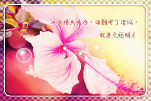 失联三天，古代男友为我举兵造反（方锦珠褚烨）全文免费_（方锦珠褚烨）失联三天，古代男友为我举兵造反后续阅读（方锦珠褚烨）