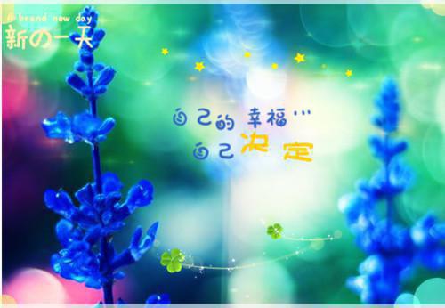 (番外)+(全文)沈清宴温南枝：结局+番外爆款宝藏免费下载阅读_(沈清宴温南枝)沈清宴温南枝最新章节列表_笔趣阁（沈清宴温南枝）