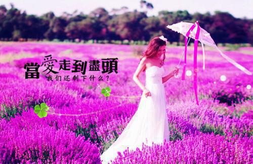 全本舔狗三年挖肝又犯癌，我走，（云上府,杜思琪,杜先生）最新章节列表_全本舔狗三年挖肝又犯癌，我走，全文阅读