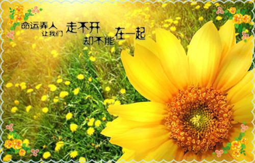 (番外)+(全文)宁以夏顾子言最新章节免费阅读_（沈妤,顾明亮,静流）宁以夏顾子言全文免费在线阅读_笔趣阁（沈妤,顾明亮,静流）
