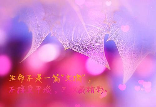 全本我爱了十年，也被拒绝了十年：（柳莺莺）最新章节列表_全本我爱了十年，也被拒绝了十年：全文阅读