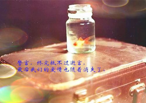 最新章节和离后，医妃被腹黑皇叔宠上瘾（苏月,苏月婵,云氏）_和离后，医妃被腹黑皇叔宠上瘾苏月,苏月婵,云氏最新章节