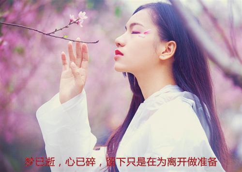 潮起时问归期秦司礼：（江以蓁秦司礼）最新章节_潮起时问归期秦司礼：全文阅读