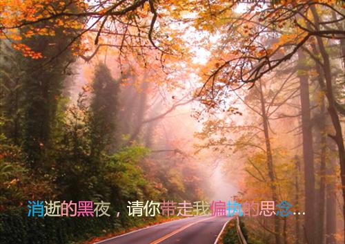 穿成女配后，我把剧本改写了全文阅读（江砚安柠）最新章节_穿成女配后，我把剧本改写了全文阅读
