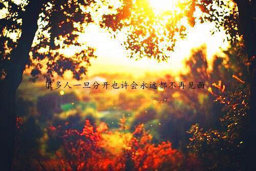 全本狐族太子将我告上审判台（兰儿玄夜姜妤）最新章节列表_全本狐族太子将我告上审判台全文阅读