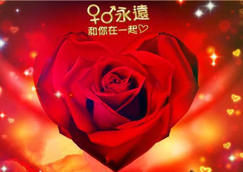 全本总裁老婆为了竹马欺我眼瞎，我决定假死离开（楚璃月姜韵顾言蹊）最新章节列表_全本总裁老婆为了竹马欺我眼瞎，我决定假死离开全文阅读