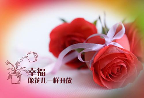 我自清欢，无风无月全文+后续（齐允礼宋黎）全文免费阅读无弹窗大结局_（我自清欢，无风无月全文+后续）我自清欢，无风无月全文+后续最新章节列表_笔趣阁（齐允礼宋黎：全文+结局+番外）