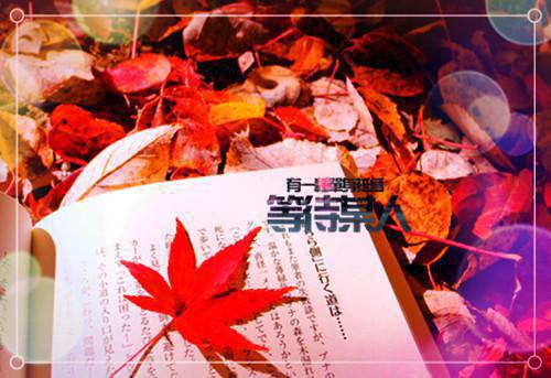 我被剔骨剜心后，师尊疯了（纪沉音帝倾华）最新推荐_最新推荐我被剔骨剜心后，师尊疯了（纪沉音帝倾华）