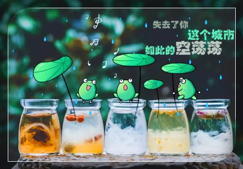 折寒枝簪起霜思：结局+番外+续集（宋闻璟沈棠眠）已完结，折寒枝簪起霜思：结局+番外+续集已完结