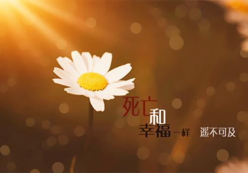 全本月光不曾照耀我：结局+番外（许南乔唐梨许北淮）最新章节列表_全本月光不曾照耀我：结局+番外全文阅读