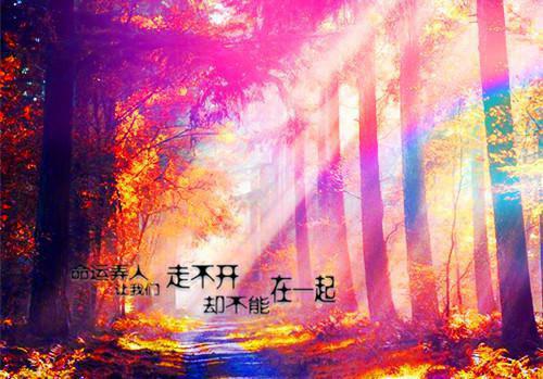 (番外)+(全文)烬雪覆情深：全文+后续最新章节免费阅读_（江若雪盛斯屿）烬雪覆情深：全文+后续全文免费在线阅读_笔趣阁（江若雪盛斯屿）