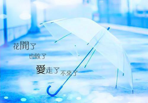 完结文夫人别跑了，总裁他身强体健八块腹肌最新章节列表_完结文夫人别跑了，总裁他身强体健八块腹肌全文免费阅读（苏沫璃君寒桀）
