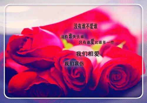 (番外)+(结局)沈时愿谢聿深（从此你我银河相望：结局+番外）全文免费阅读无弹窗大结局_(沈时愿谢聿深)最新章节列表_笔趣阁（从此你我银河相望：结局+番外）