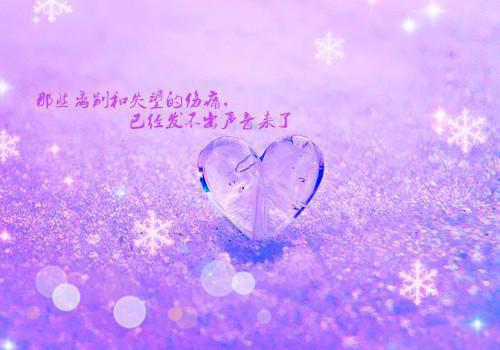 明月栖山爱意不归：全文小说苏梨程昭骆清屿小说在线阅读