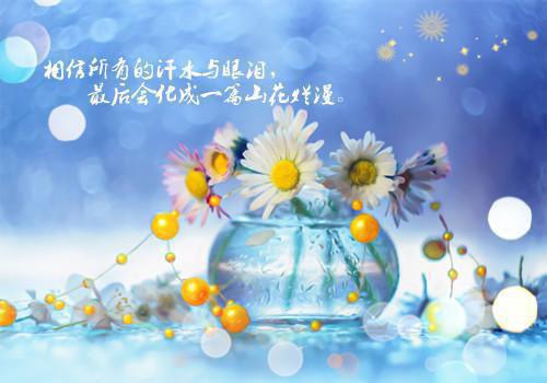 全本落日余烬，青松未凋（穆沉沈清沅）最新章节列表_全本落日余烬，青松未凋全文阅读