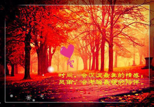 (番外)+(全文)谁与你白头成眷：好书免费下载阅读_（沈意欢陆沉舟）谁与你白头成眷：好书最新章节列表_笔趣阁（沈意欢陆沉舟）