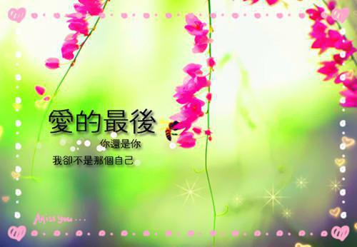 直播间里瓜太多，网友跪求别下播di完本在线小说免费阅读