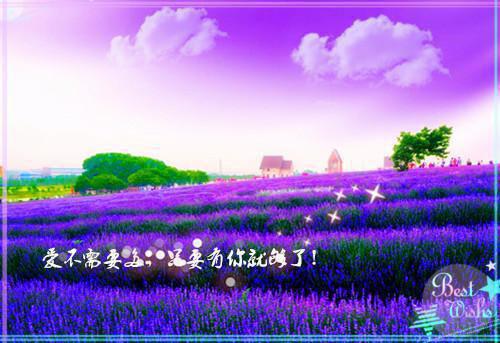 换婚病危世子，她一胎三宝赢麻了全文阅读（余元筝上官子棋）最新章节_换婚病危世子，她一胎三宝赢麻了全文阅读