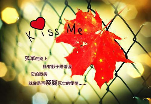 (番外)+(全文)长离不见清瑟：已完结+番外长离不见清瑟：已完结免费阅读无弹窗大结局_长离不见清瑟：已完结结局+番外最新章节列表_笔趣阁长离不见清瑟：已完结