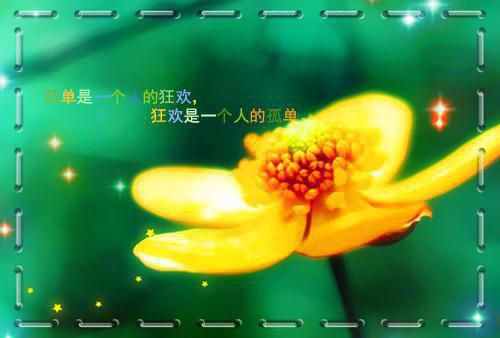 古代言情绚丽儿小说章节阅读
