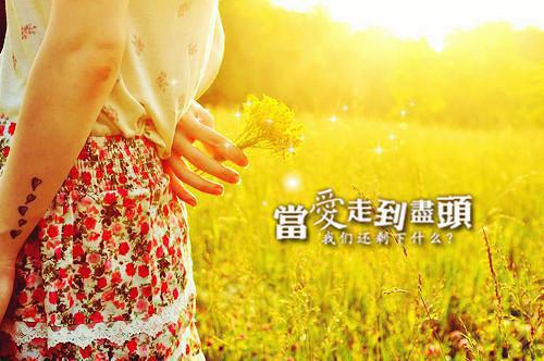 何以入君心：全章+结局最新小说（乔青蕴傅时宴）全文阅读