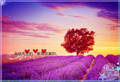 等风等雨等不到你：在线品鉴夏语栀祁墨寒推荐完本_已完结等风等雨等不到你：在线品鉴（夏语栀祁墨寒）