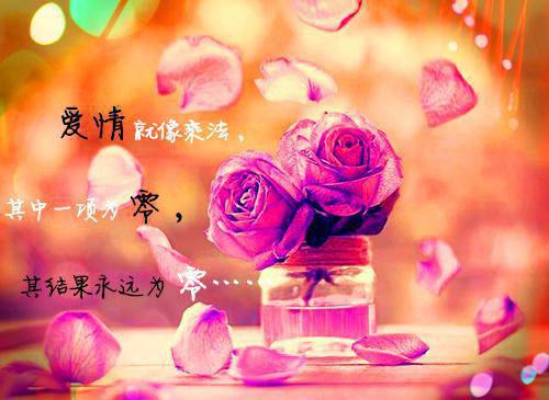 (番外)+(全文)我在余晖深处等你：结局+番外推荐必读全文免费阅读无弹窗大结局_我在余晖深处等你：结局+番外推荐必读最新章节列表_笔趣阁