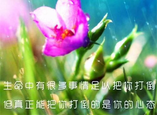 明絮裴廷聿：完结文（明絮裴廷聿）全章免费版阅读