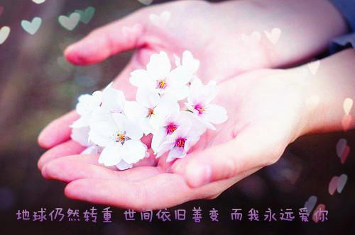 (番外)+(全文)春尽人不归：精彩剧情下载阅读_(阮彦初骆澜月)春尽人不归：精彩剧情最新章节列表_笔趣阁（阮彦初骆澜月）