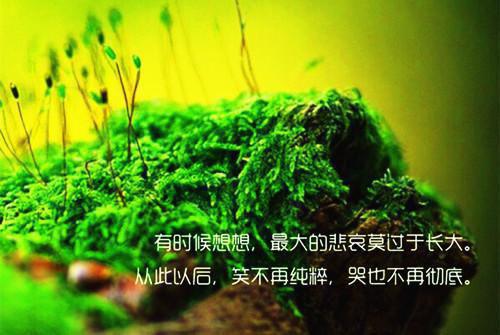 (番外)+(全文)黎婉贺凌屿:全文+后续txt下载阅读_(贺凌屿黎婉)黎婉贺凌屿:全文+后续免费阅读全文最新章节列表_笔趣阁（贺凌屿黎婉）
