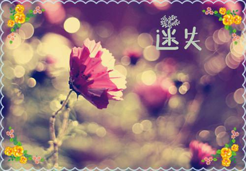 最新章节发现祠堂的秘密后全村无一活口：免费赏析（杜伟冯若琳）_发现祠堂的秘密后全村无一活口：免费赏析杜伟冯若琳最新章节