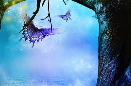 长林欢宴梦不赴：结局+番外+完本最新章节列表_长林欢宴梦不赴：结局+番外+完本全文免费阅读(沈星窈谢淮序)
