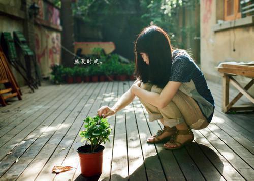 他跪求和好？我在拍领证照最新章节列表_他跪求和好？我在拍领证照全文免费阅读(顾逸轩林薇陆泽)