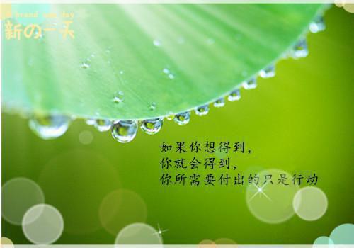 重生2007，暴富从做化妆师开始最新小说（江雪江露）全文阅读