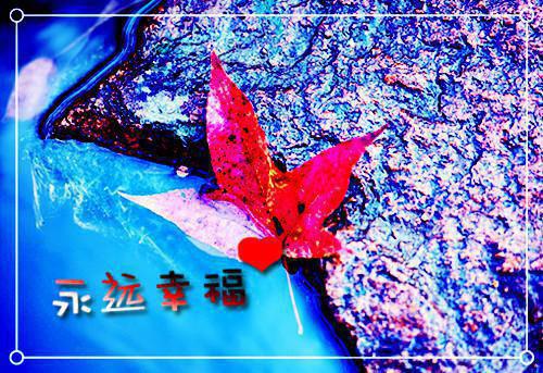 花无重开日：结局+番外（林熙江淮舟）最新章节列表_花无重开日：结局+番外（林熙江淮舟）全文+后续+结局在线阅读