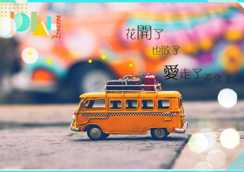 全文浏览抛弃高龄之花后，他黑化了（孟汐沈叙白）_抛弃高龄之花后，他黑化了（孟汐沈叙白）全文结局