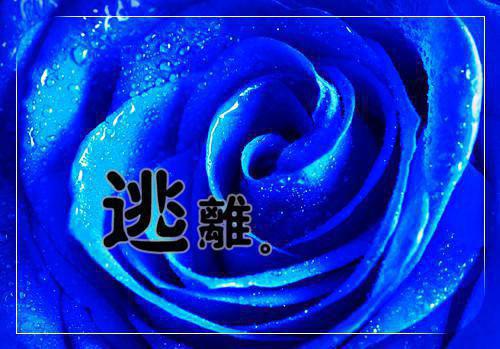 (番外)+(全文)残雪凝阶春不回：后续完整大结局全文免费阅读无弹窗大结局_残雪凝阶春不回：后续完整大结局最新章节列表_笔趣阁