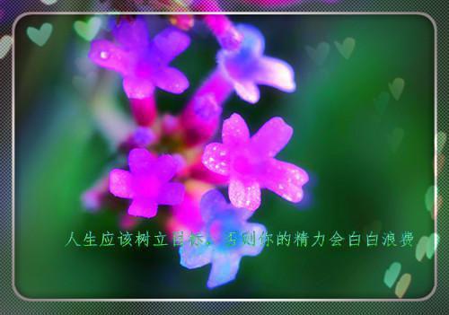 (番外)+(全文)春到南楼雪尽处：畅销免费下载阅读_(傅庭州苏枝夏)傅庭州苏枝夏最新章节列表_笔趣阁（傅庭州苏枝夏）