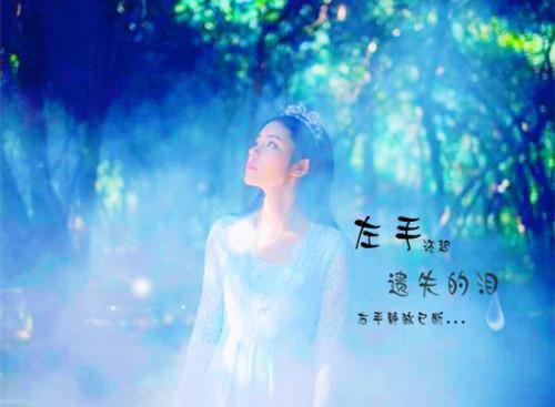 终是庄周梦了蝶沈聿珩：节选免费试读(南语沈聿珩)全章无套路阅读纯净版小说大结