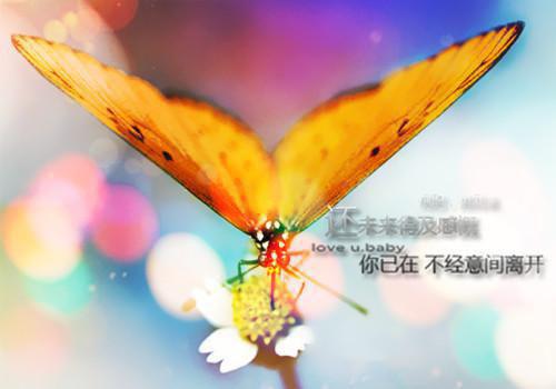 (番外)+(全文)纯恨夫妻不够恨免费下载阅读_（沈连洲安夏）纯恨夫妻不够恨最新章节列表_笔趣阁（沈连洲安夏）