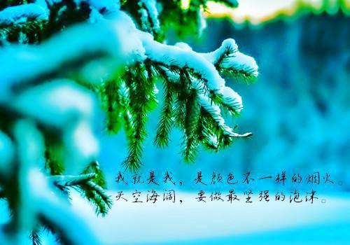 不见明月不见君精品选集（谭湘傅廷渊）最新推荐_最新推荐不见明月不见君精品选集（谭湘傅廷渊）