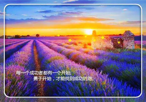 最新章节爱于燃尽新生：爆火全网（顾云霄孟卿月）_爱于燃尽新生：爆火全网顾云霄孟卿月最新章节