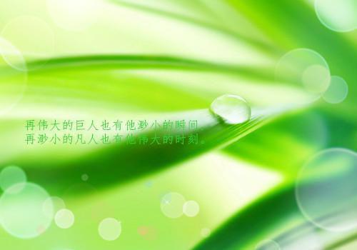 浮灯灿烂一朝：精选最新小说（梁明昭沈砚卿）全文阅读