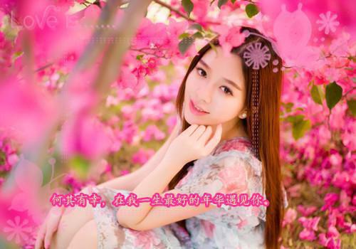我在回忆里万劫不复短篇全文小说秦见鹿谢梵声小说在线阅读