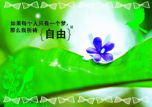 无法原谅：爆火全网（靳桓）最新章节_无法原谅：爆火全网全文阅读
