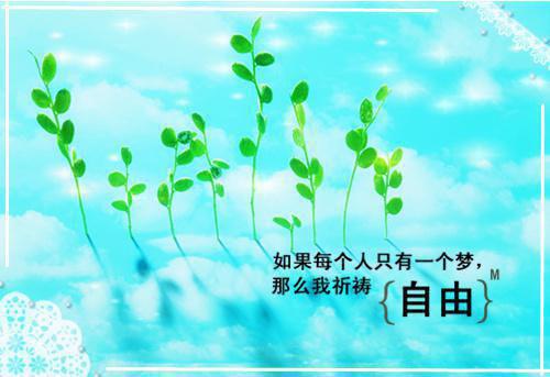 恶女淮秀全文阅读（陈淮秀卫澜昱）最新章节_恶女淮秀全文阅读