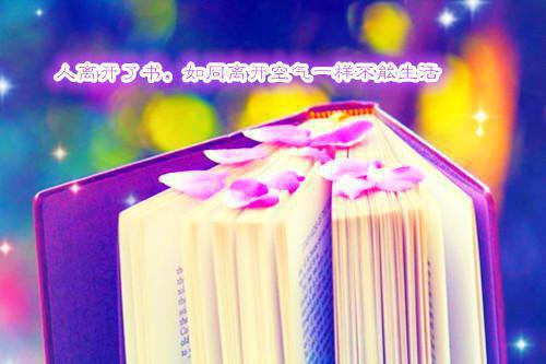 渡川的小说夫人认错了吗? 没有！她还夜夜泡吧沈意,宋君凛全文在线阅读