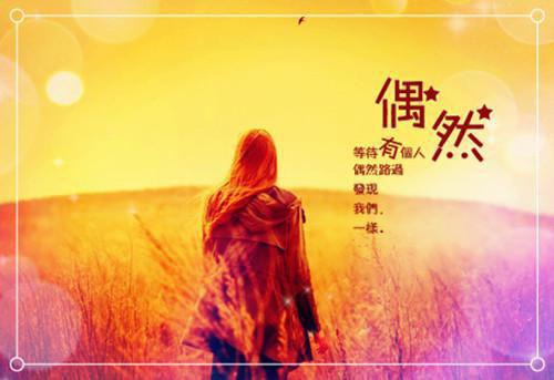 墨染夕,白起全章节目录医妃又在兴风作浪小说阅读